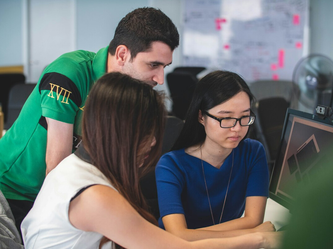 software developer coding